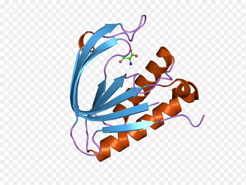 �����ֽ�����л��������-����-������