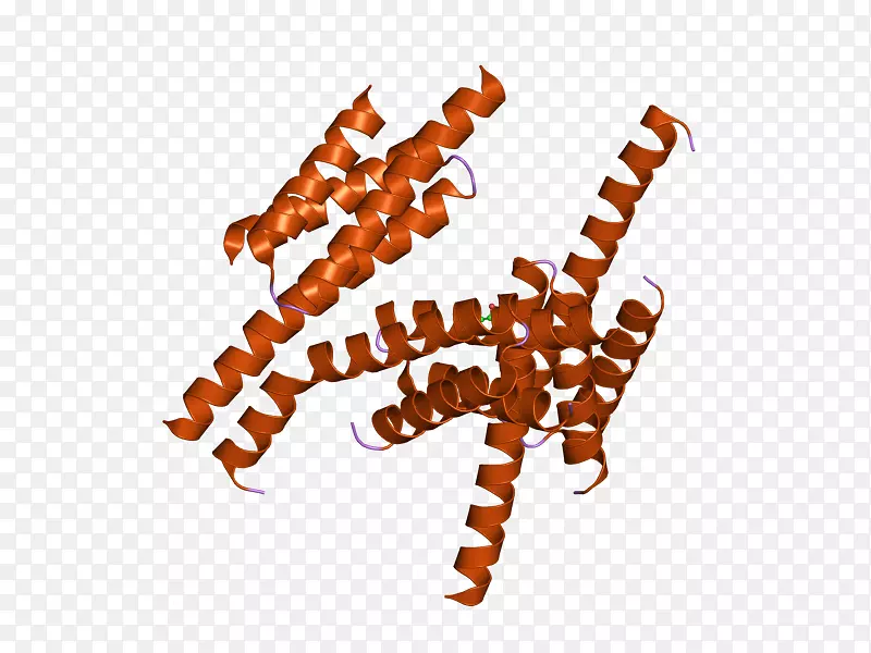 ���������-ebi-������