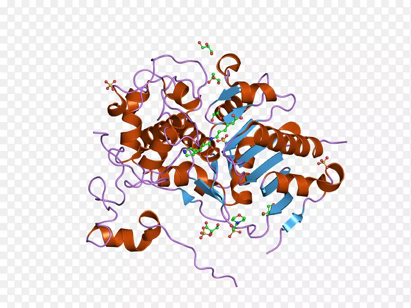 �����ֽ���Լ���������-������