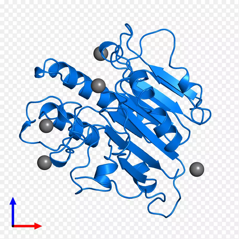 �ߵ������-��-������