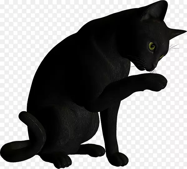 ���������룬���ڶ�ëè��-ˮ�ʻ�è-������