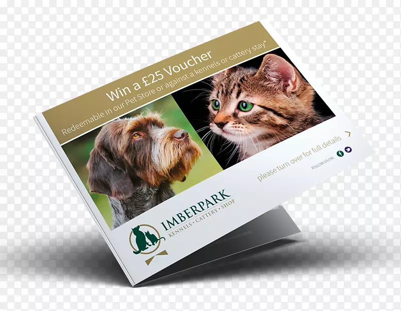 Сè��ý��Ʒ��-������