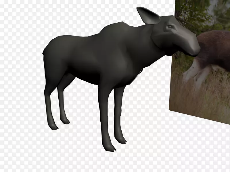 ţ��ɽ����¹�����Ұ������-ɽ��-������