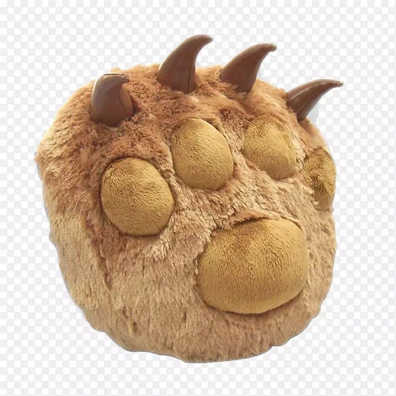 ��צ-��צ����-������