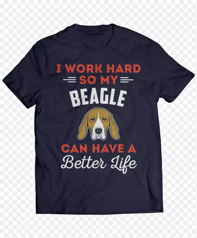 T������Ƭ���·�������-������