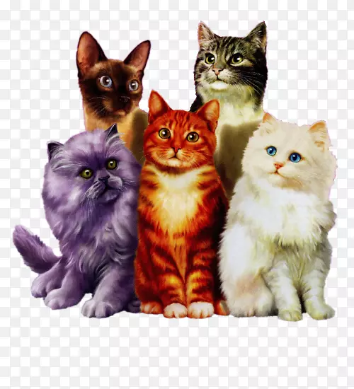 ����è��Сè����-������