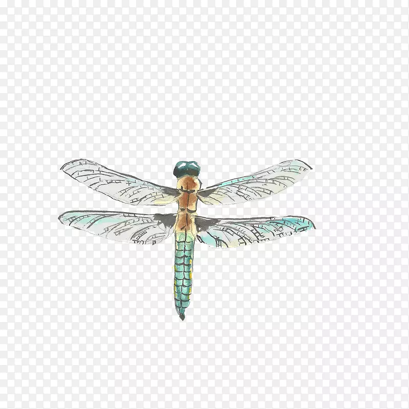 �������ѻ�ˮ�ʻ�.����-������