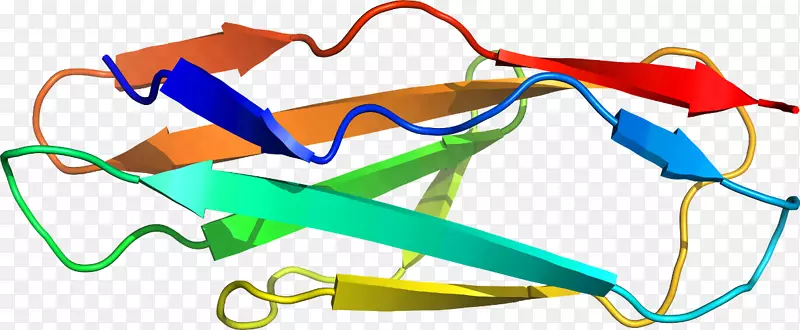 �ߵ������-��-������