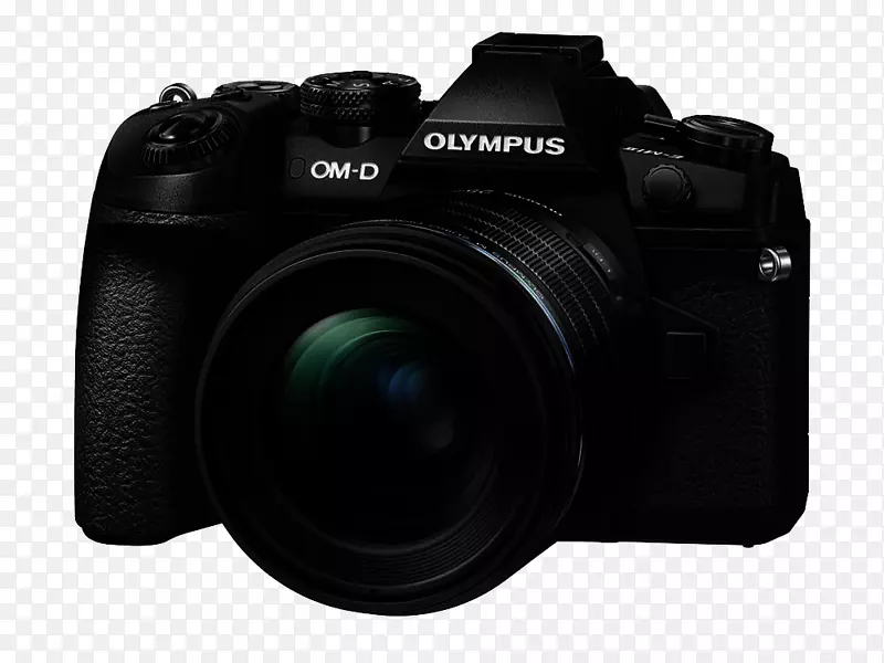 ���뵥�������ͷ���ְ�˹-������