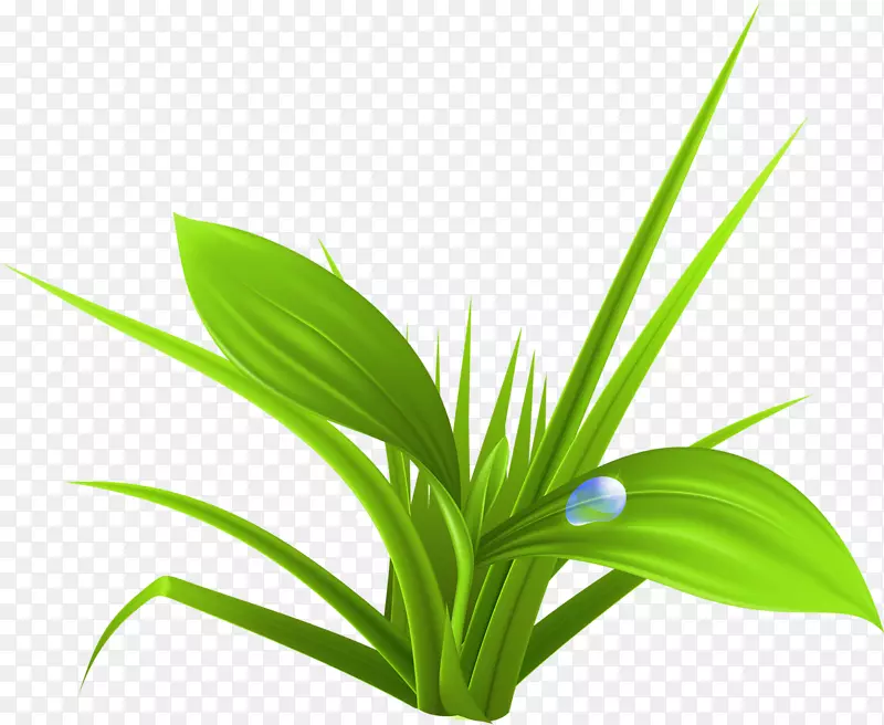 ����-�̲�-������