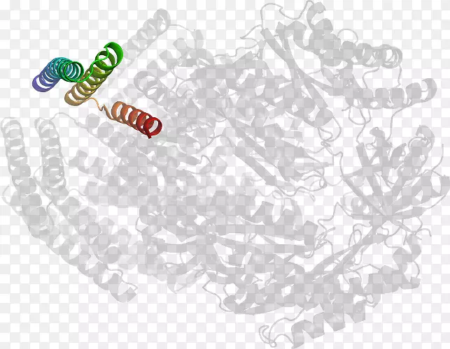 ����������-������