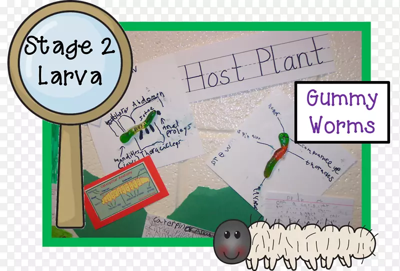 ��ͨ����-ճ����-������