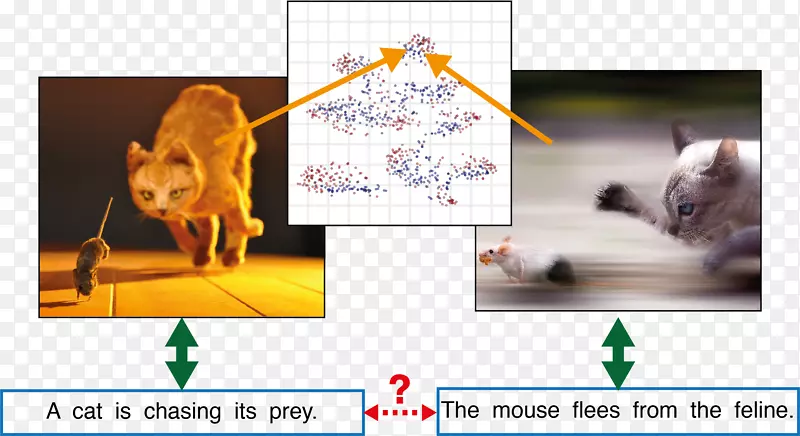 ������Ӿ��������ѧ�˹������о�-������