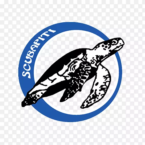 Ǳˮ��ˮ��Ǳˮ������Ǳˮ����������ˮ���о����˶����ϻ�-ˮ��Ǳˮ���ֲ�-������