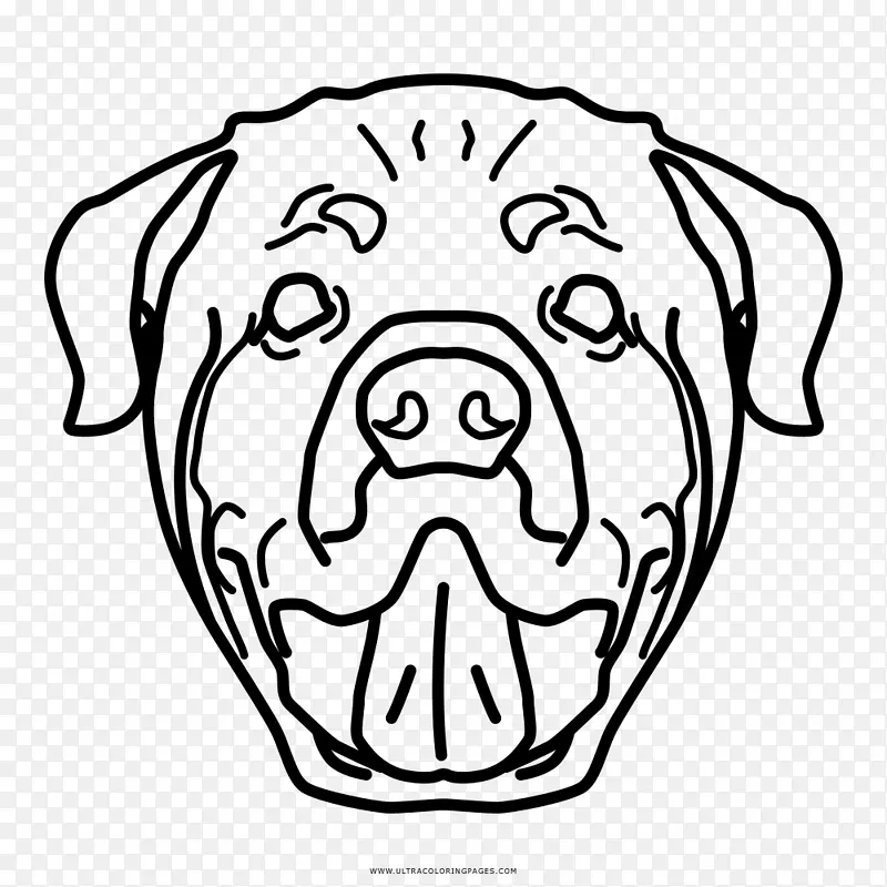 Ȯ��������Ȯ���ӻ�-С��-������