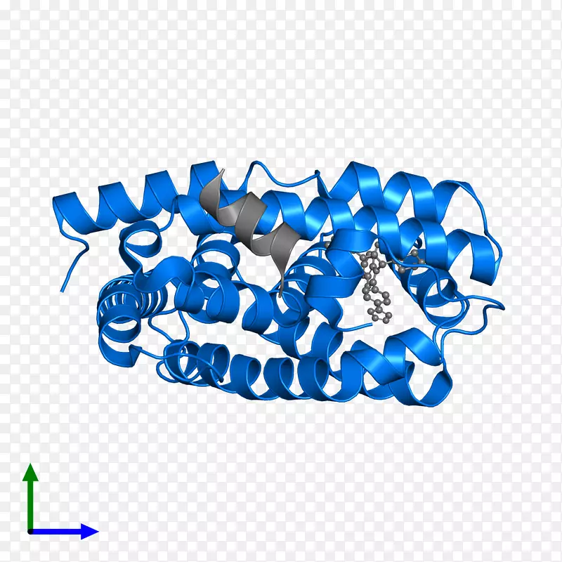 �̱�����-����-������