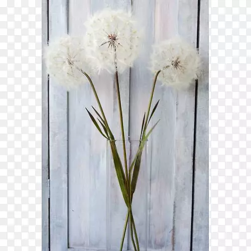 ��������л���ƿ������ƿ-������