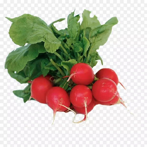 �л�ʳƷҶ��ɫ��-�߲�-������