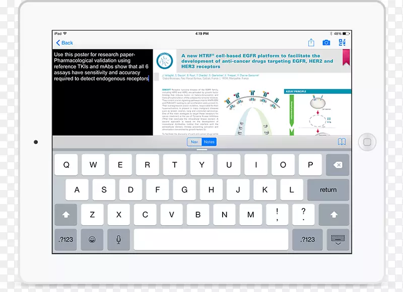 ��׿ƻ����������-�����-������