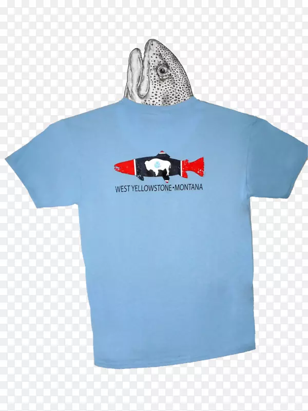 T������װ����t��-������