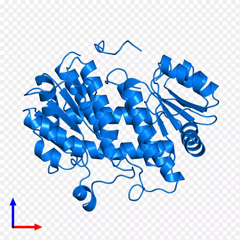 �ߵ������-��-������