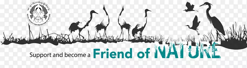 �̱��ɫ�������-������