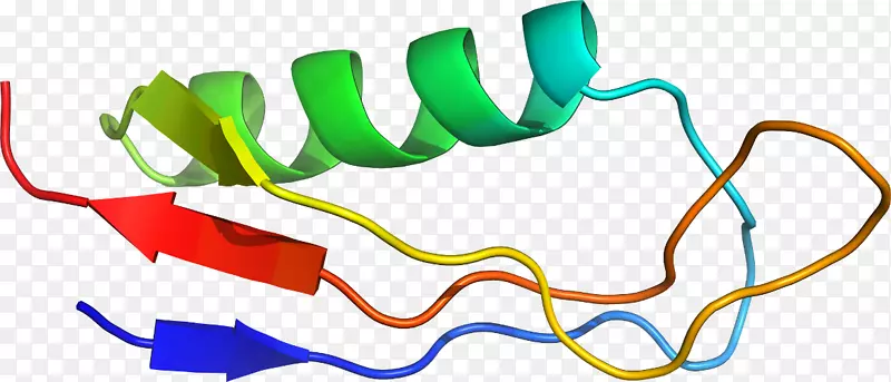 �ߵ������-��-������