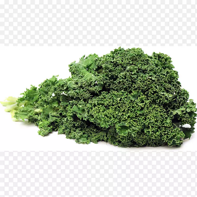 ����ʳƷ��ɳ����-������