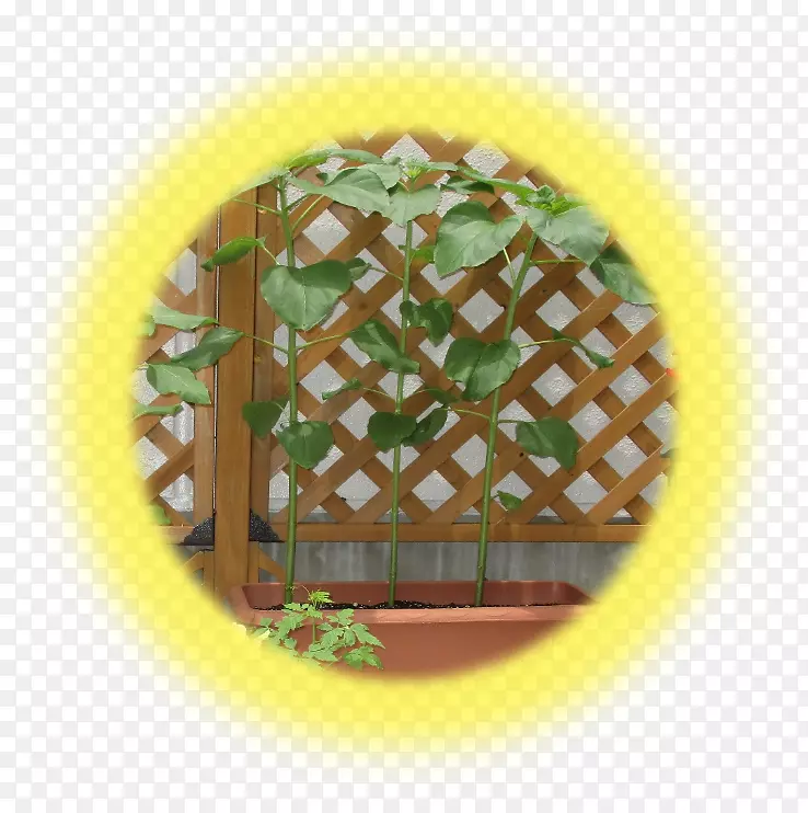 �;�.Ͳ��-������