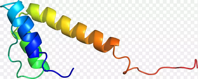 �ߵ������-��-������