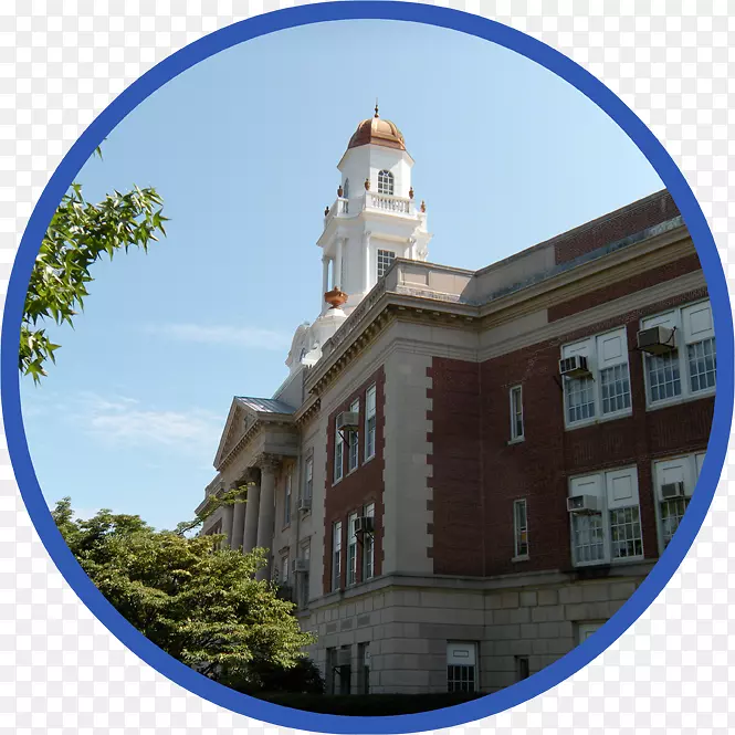 �º��¹�԰������ý����(ǰ����������ֽ���޹�˾)-������