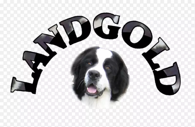 Ȯ�ֱ�־����-������