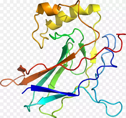 �ߵ������������-������