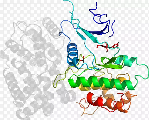 �ߵ������������-������