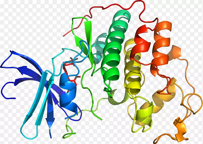 �߲˾��߼�����-�߲�-������