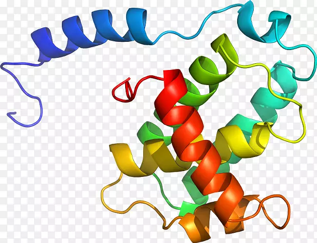 �߲�ʳƷ������ֲ�������-�߲�-������