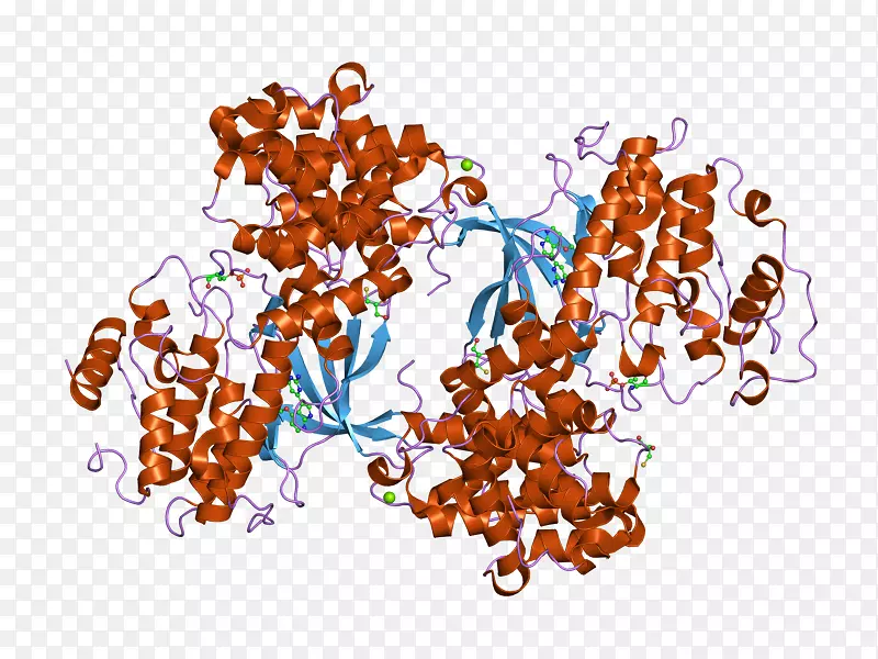 ʳƷ����-Cyclinin-������