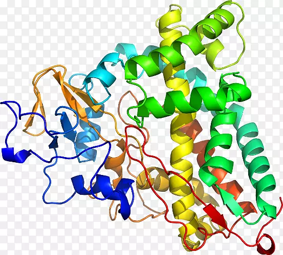 �����鱦ϵ���л��������-�鱦-������