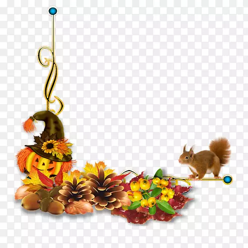 �ռǲ��ͼ�������-���Ŷ�-������