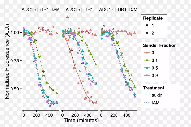 �ߵ�������-������