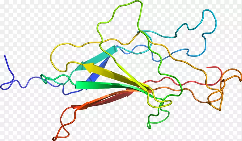 �ߵ������������-������