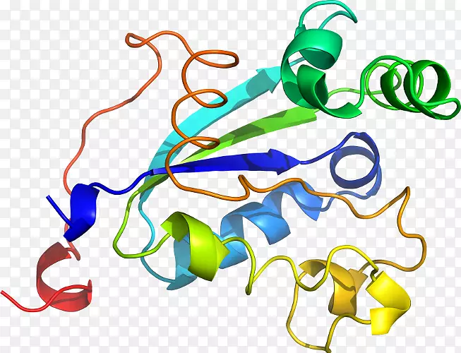 �ߵ������μ�����.��-������