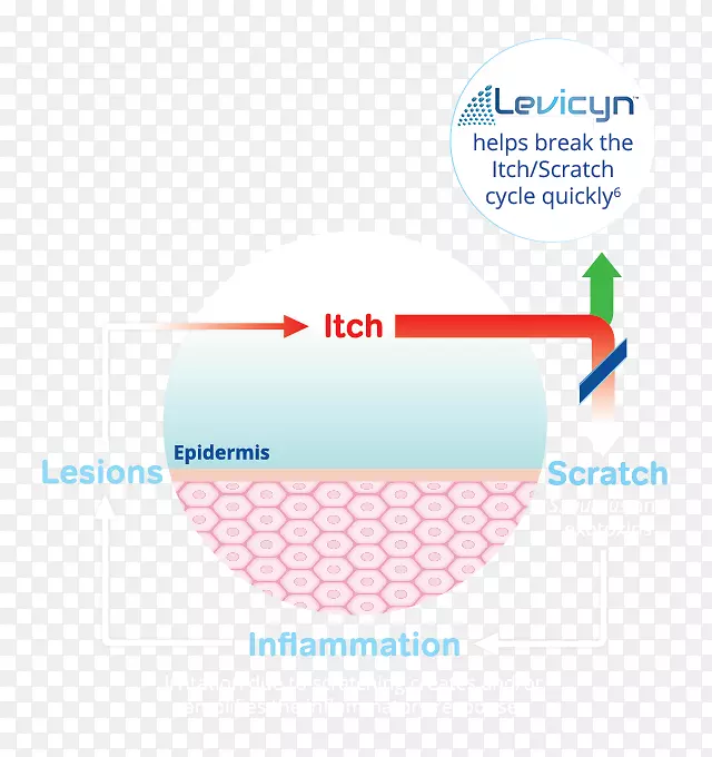 Ʒ�Ʋ������-������