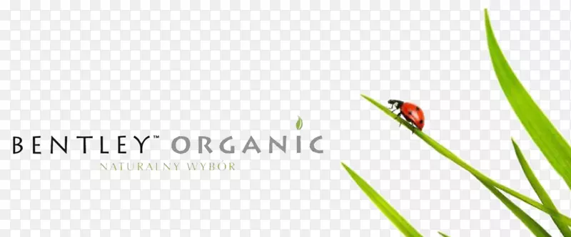 ������־Ʒ�Ʋݰ�Ӣ��-����-������