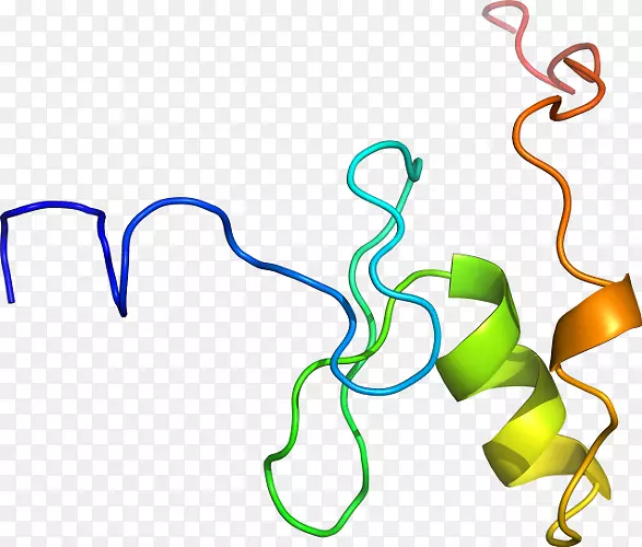 �ߵ������������-������