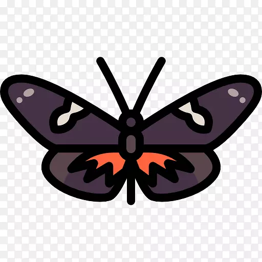 ��������ë�ʺ����ԳƼ���������-������