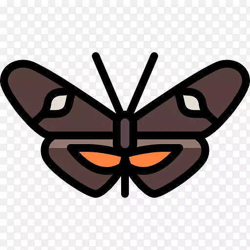 ��������ë�ʺ����ԳƼ���������-������