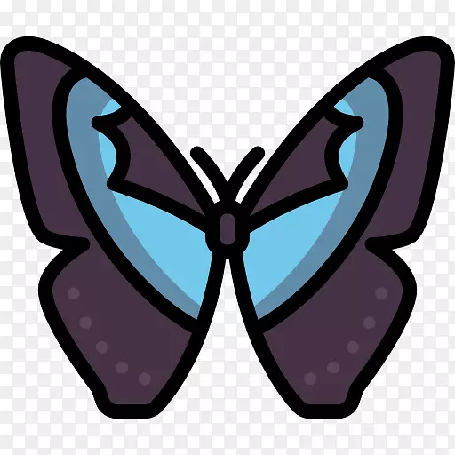 ��������ë�ʺ����ԳƼ���������-������