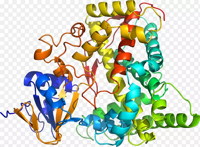 ���������鱦ϵ�м������鱦����-������