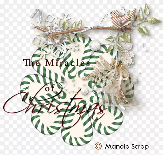 ʥ����װ��������֧��ͥ-ʥ����-������